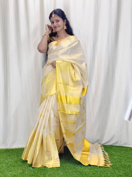Tissue Saree with Golden temple Border Saree